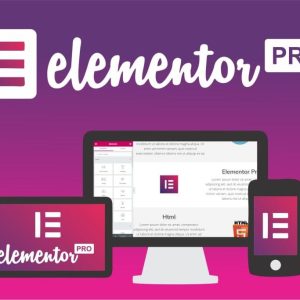 Elementor PRO WordPress Page Builder + Pro Templates